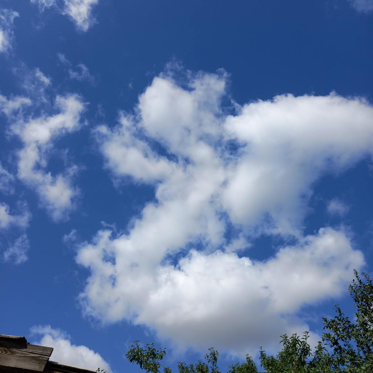 Какое сочетание цвета