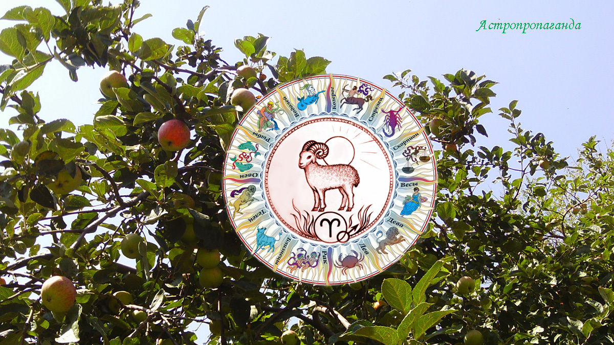 Гороскоп для Овна с 4 по 31 августа 2025.