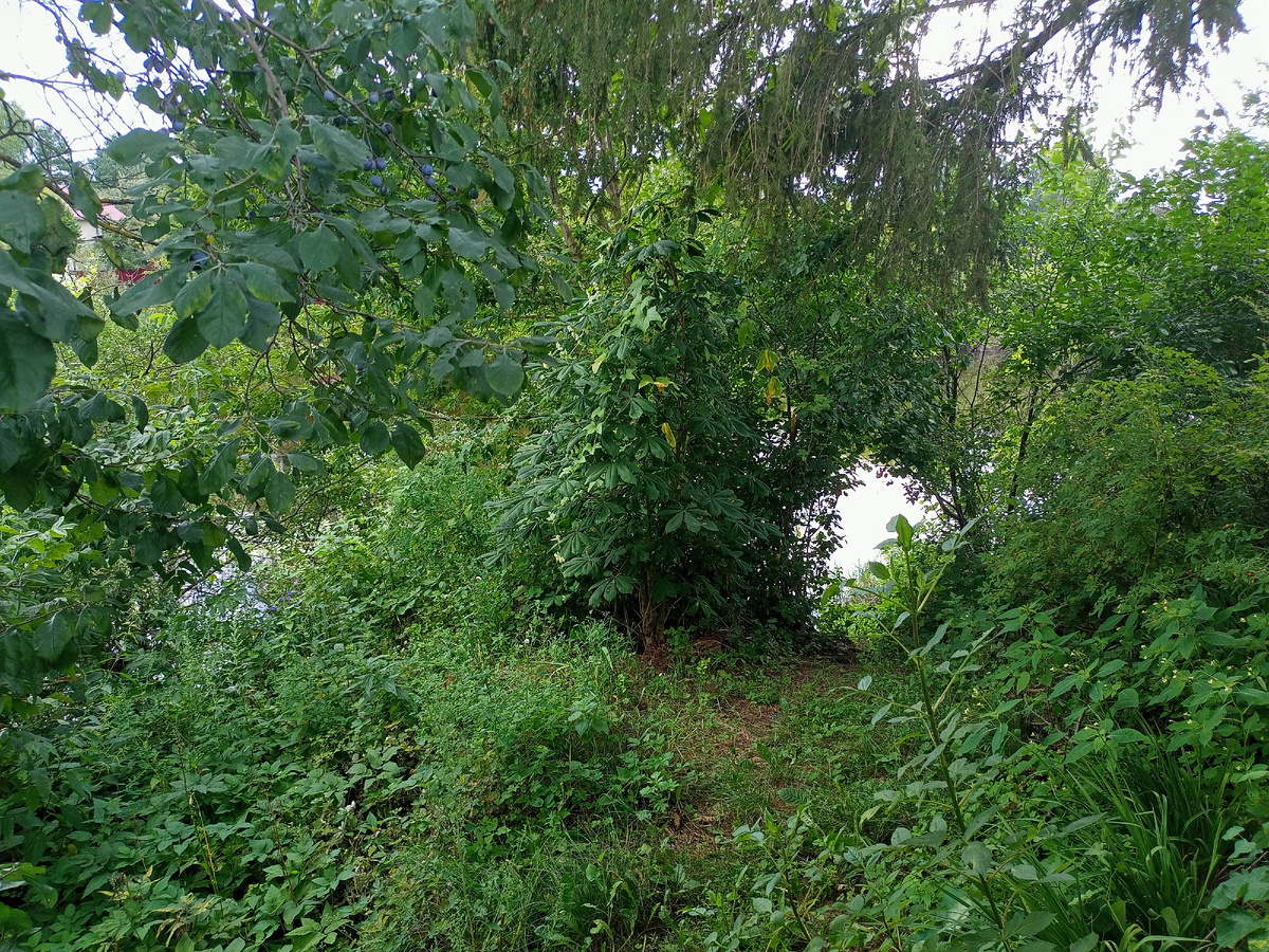 За забором озеро