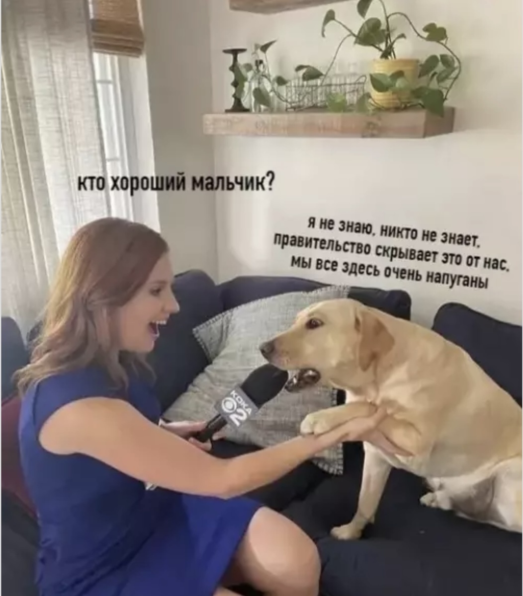 Источник Яндекс картинки