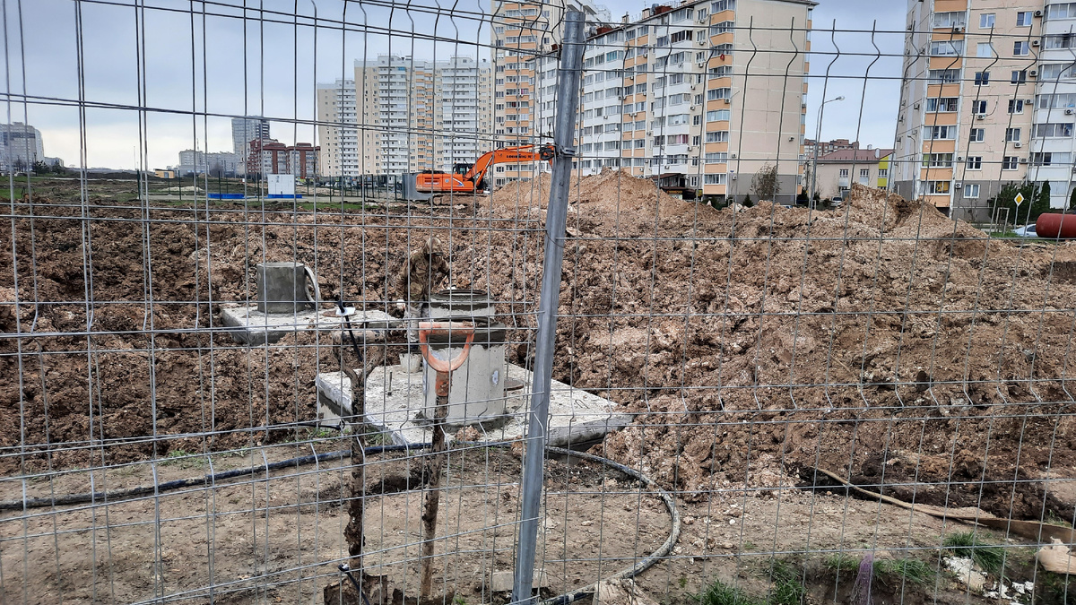 Это самое начало создания Императорского парка. Фото декабрь 2023г