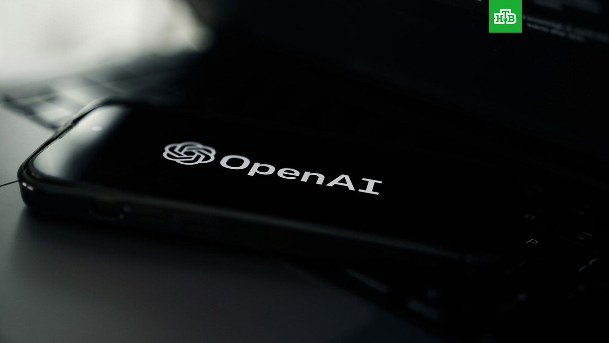    Фото: Zac Wolff / unsplash.com