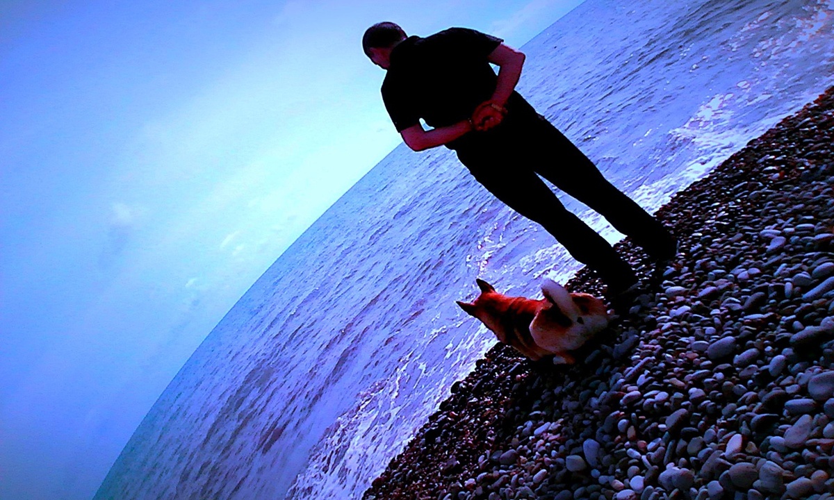 шарик и олег лазаревское