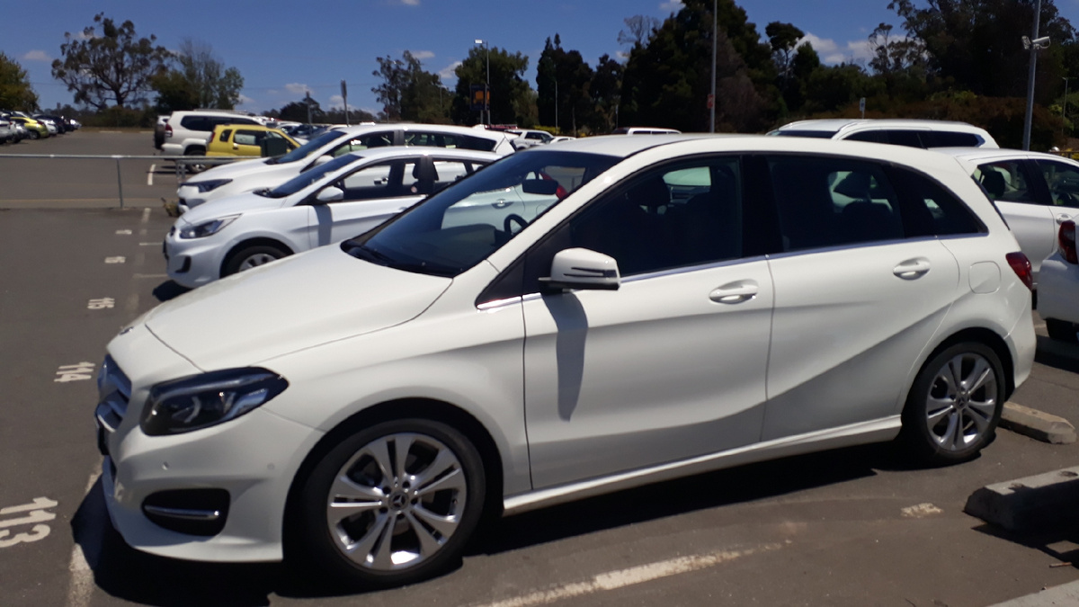 Вот она, наша белоснежная ласточка!