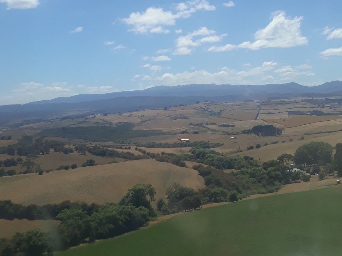 Это единственное фото из самолета, которое у меня хватило сил сделать, отцепив руки от подлокотников.