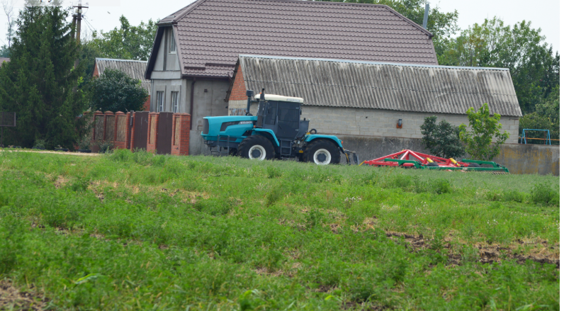 Фото автора. 06.08.2025. На окраине хутора.