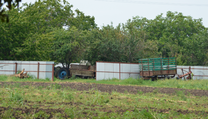 Фото автора. 06.08.2025. Хутор. Фермерское хозяйство.