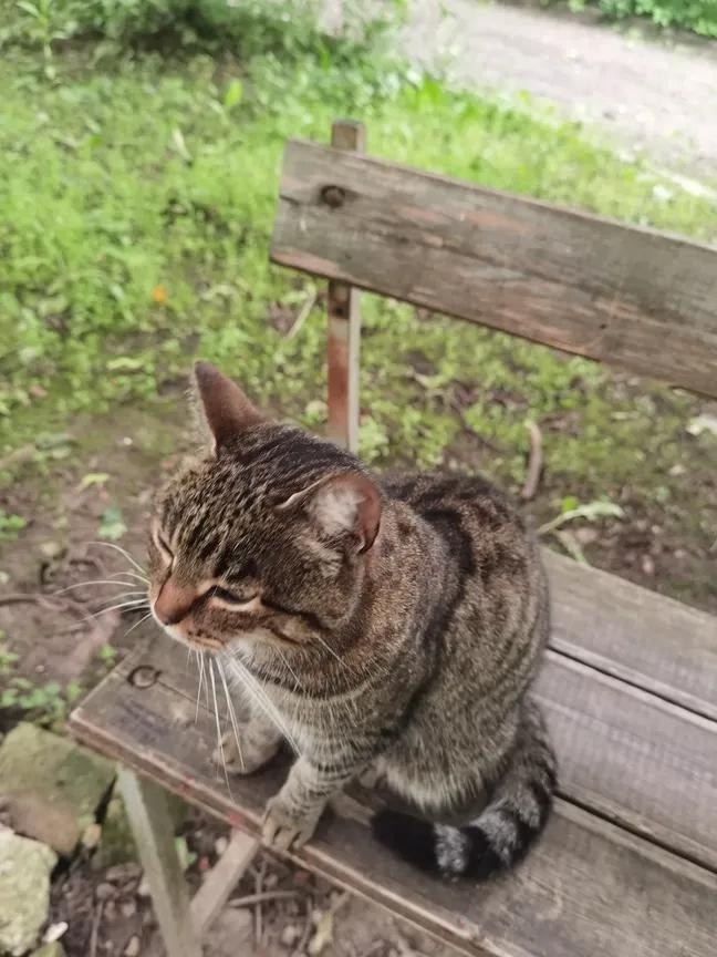 иллюстрация из яндекс картинки.