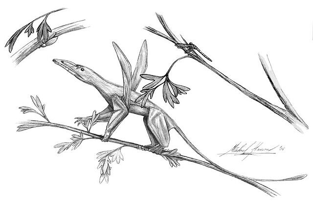 Эудиморфодон сидит на ветке.