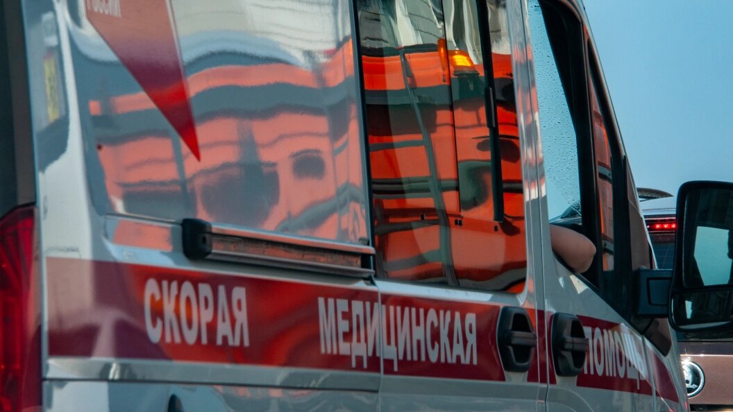    Svetlana Vozmilova/Globallookpress