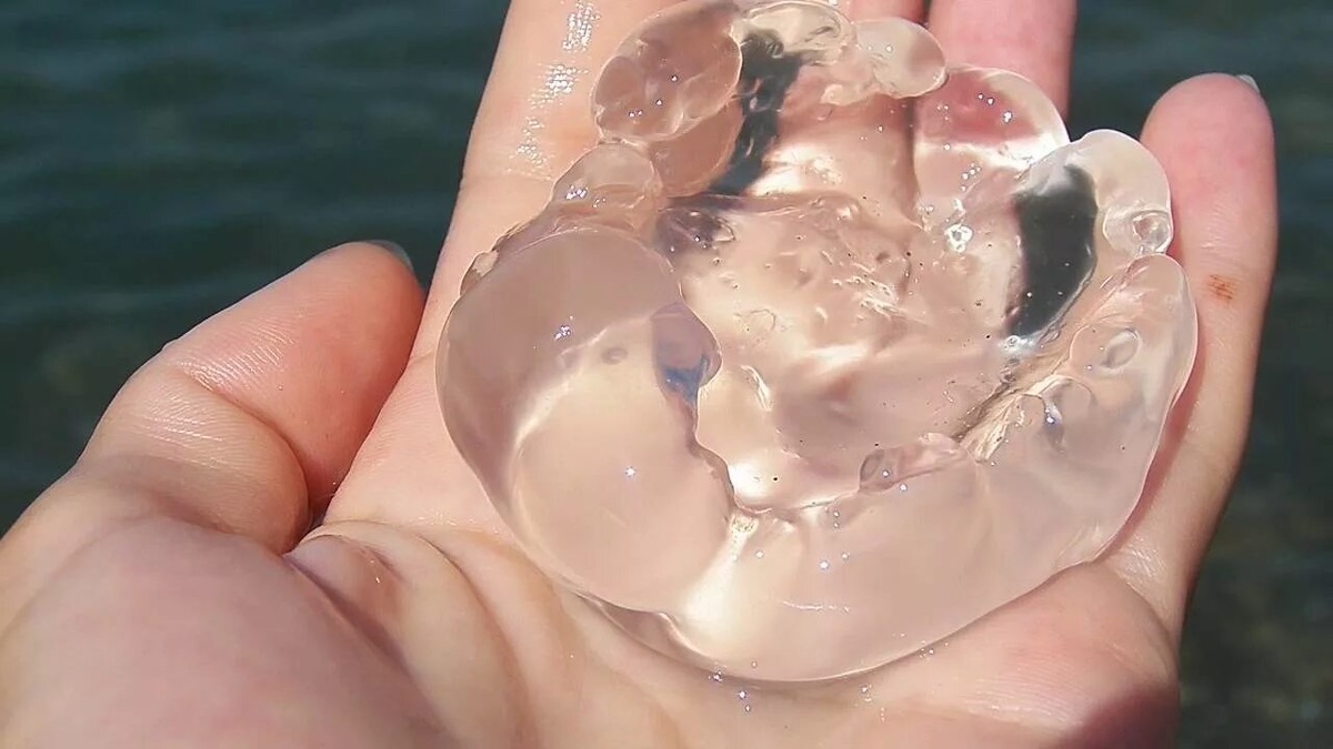 Медуза на ладошке 