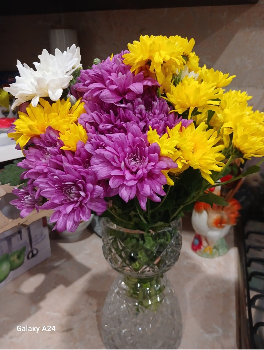 Осенний поцелуй- любимые хризантемы 