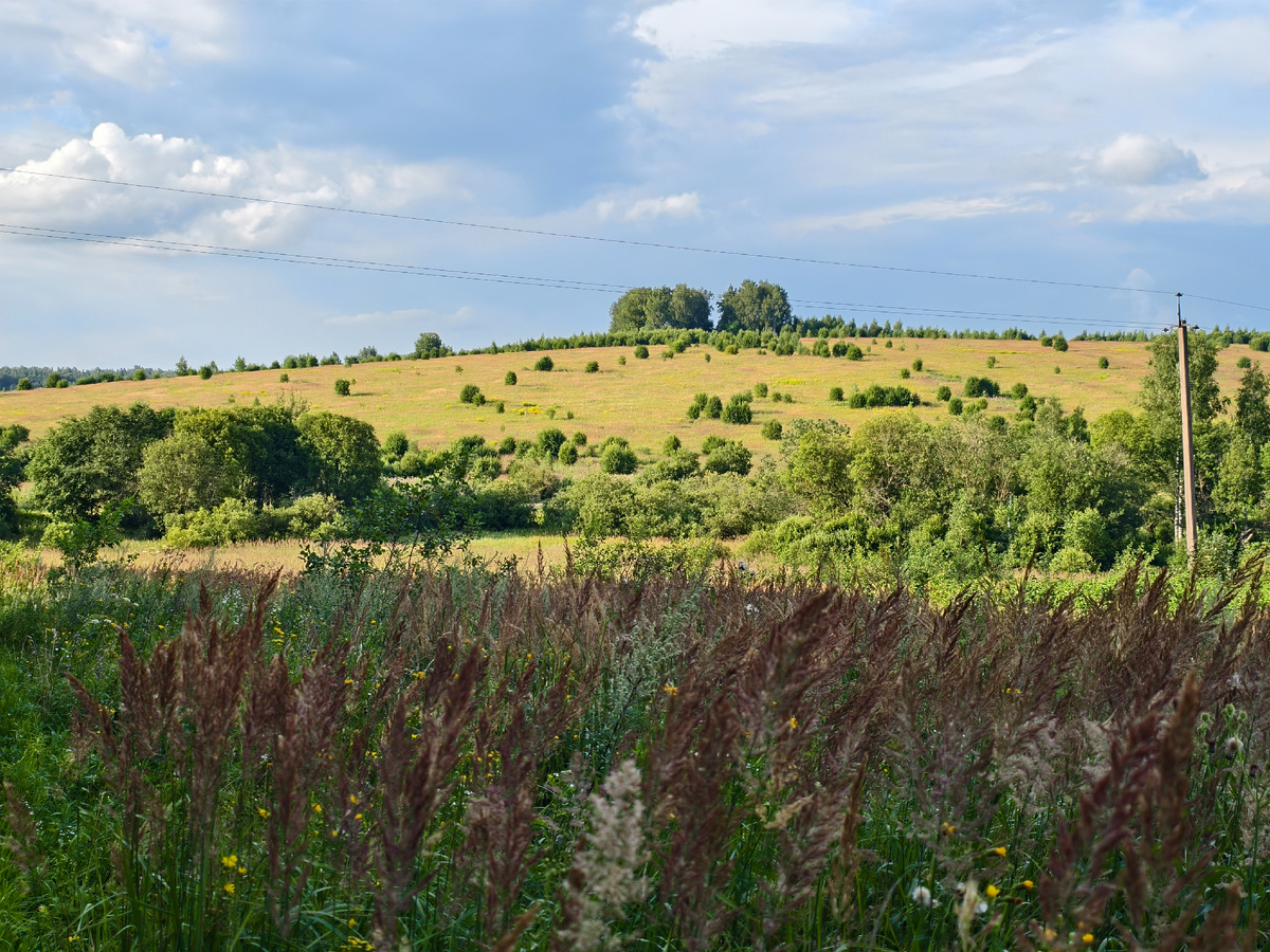 На покатушке