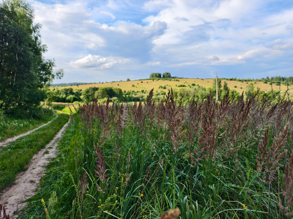 На покатушке
