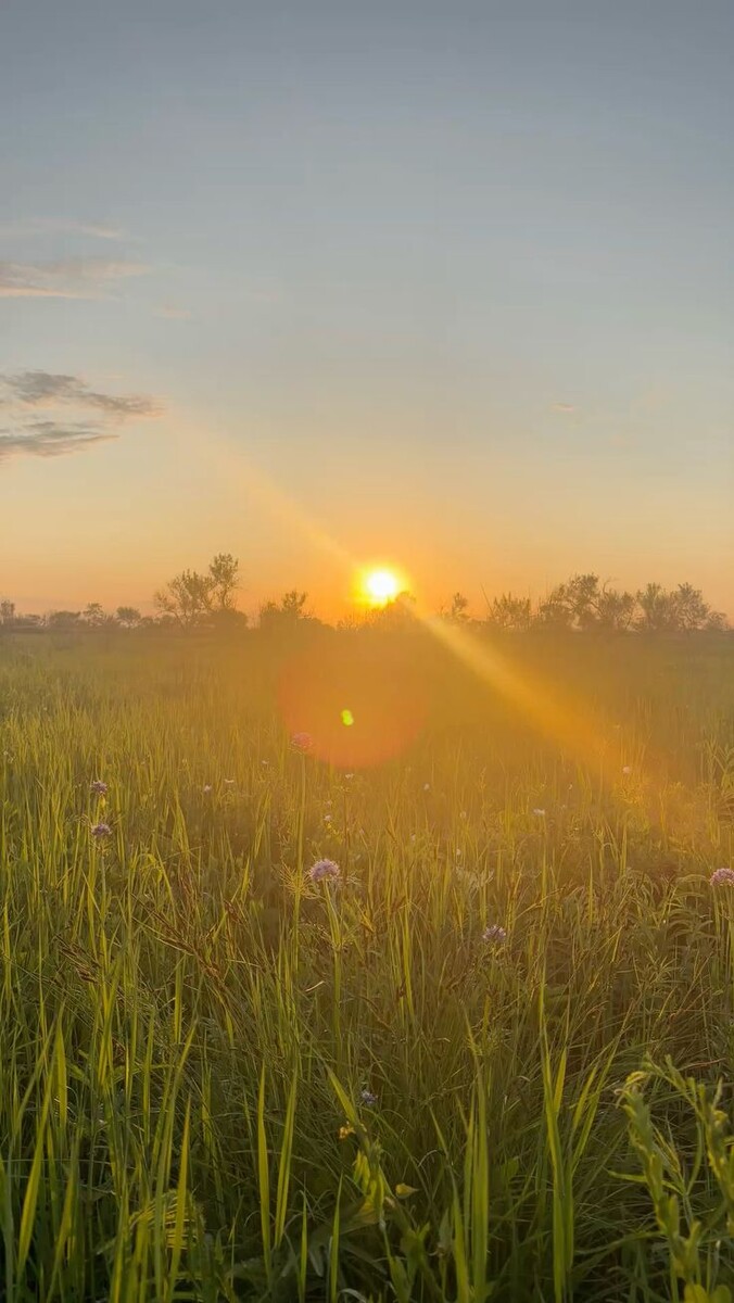 Солнце в степи. 