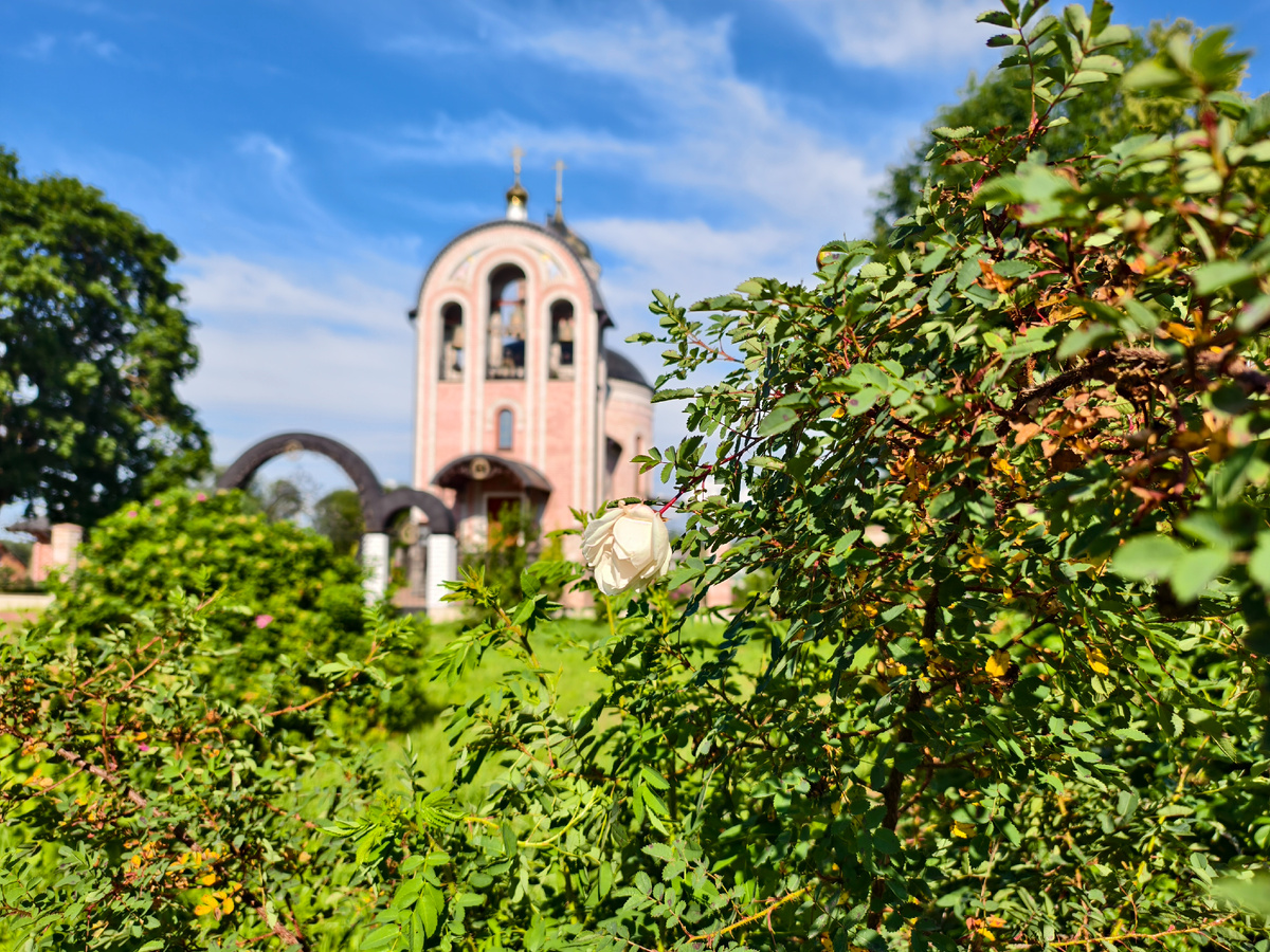 Церковь святого Вонифатия
