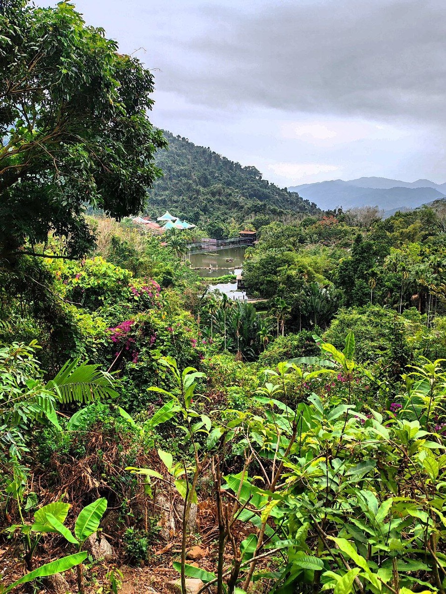 ТРОПИЧЕСКИЙ ПАРК ЯНОДА🌿