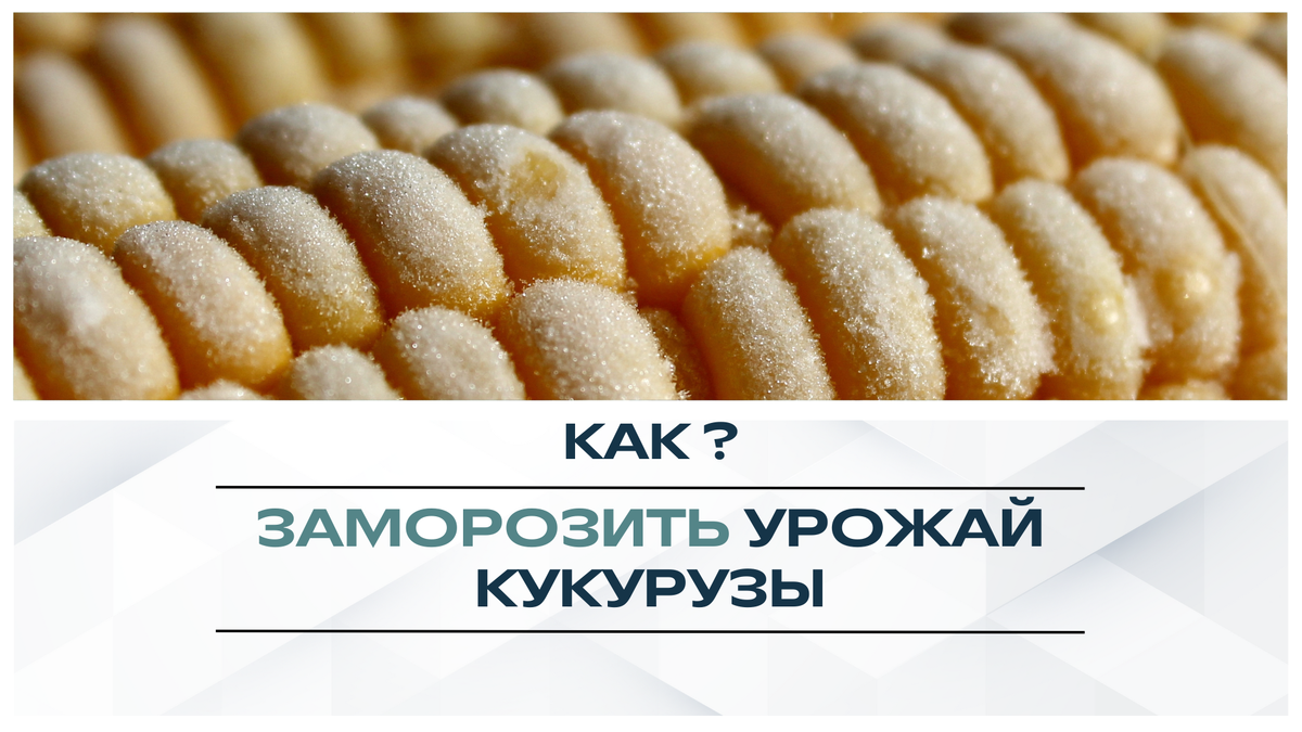 Рассказываем о тонкостях процесса, чтобы сохранить урожай...