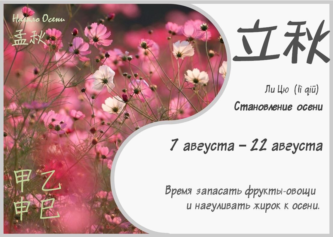 Космея.