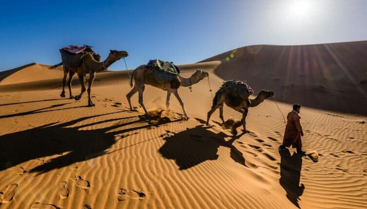     Фото: Sergey Pesterev on Unsplash