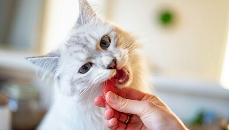     Фото: Piotr Musioł on Unsplash