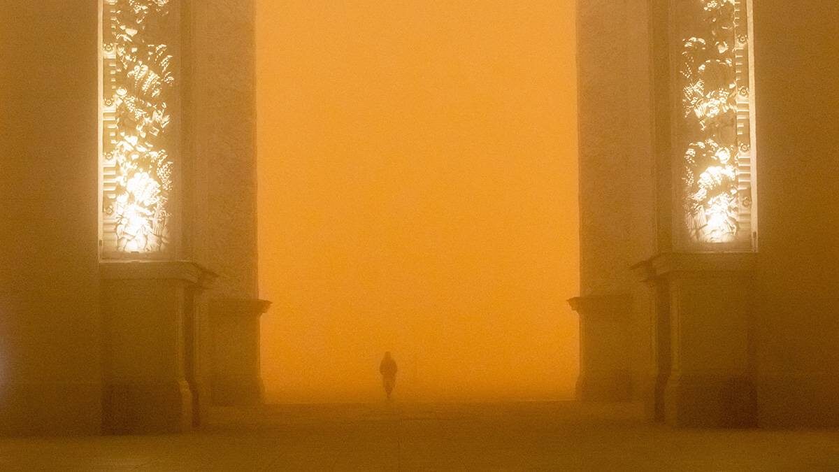    Фото: Софья Сандурская / АГН Москва