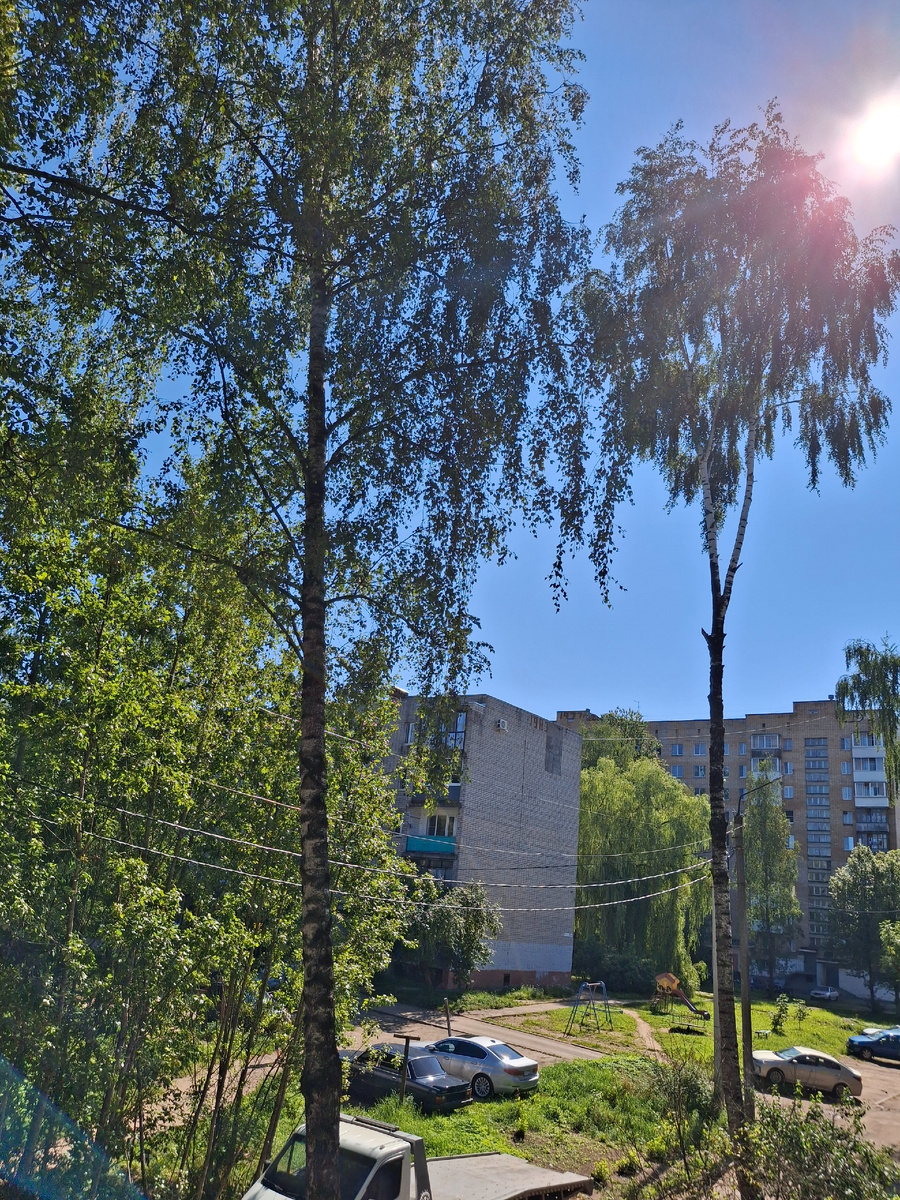 Фотография сделана автором канала