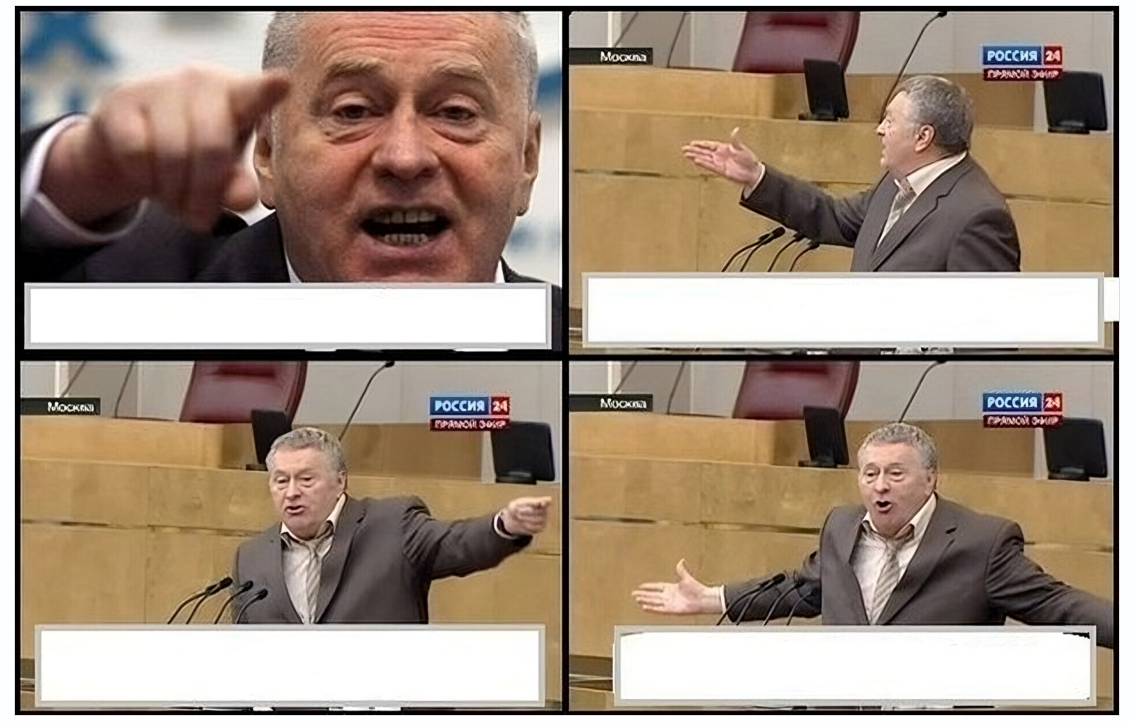 Владимир Жириновский - источник мемов и человек