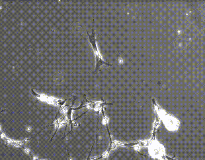 Построение нейтронной связи
