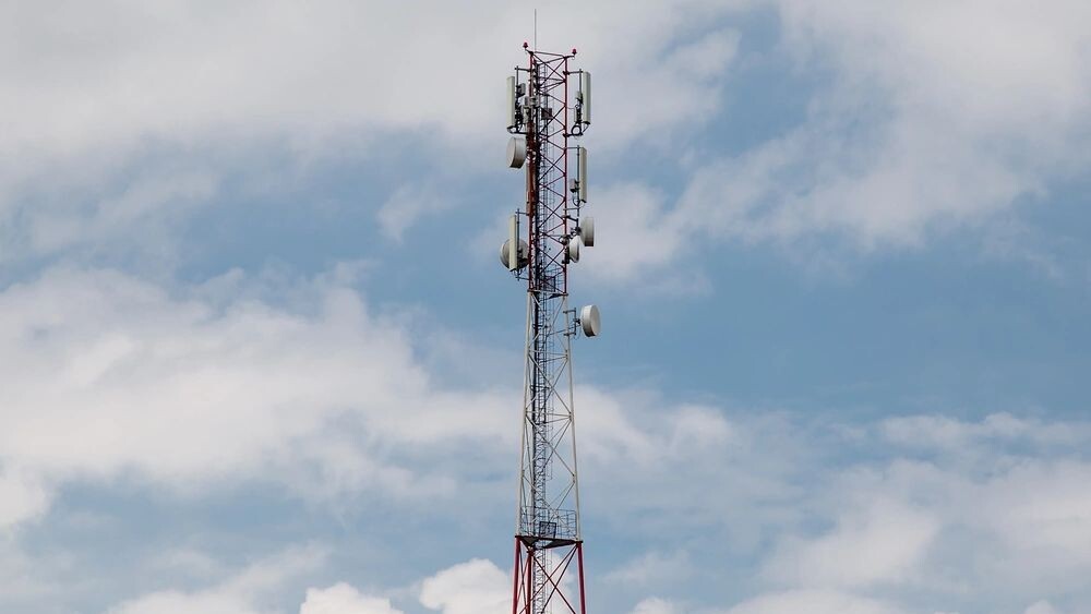    Фото: pudiq/Shutterstock/Fotodom