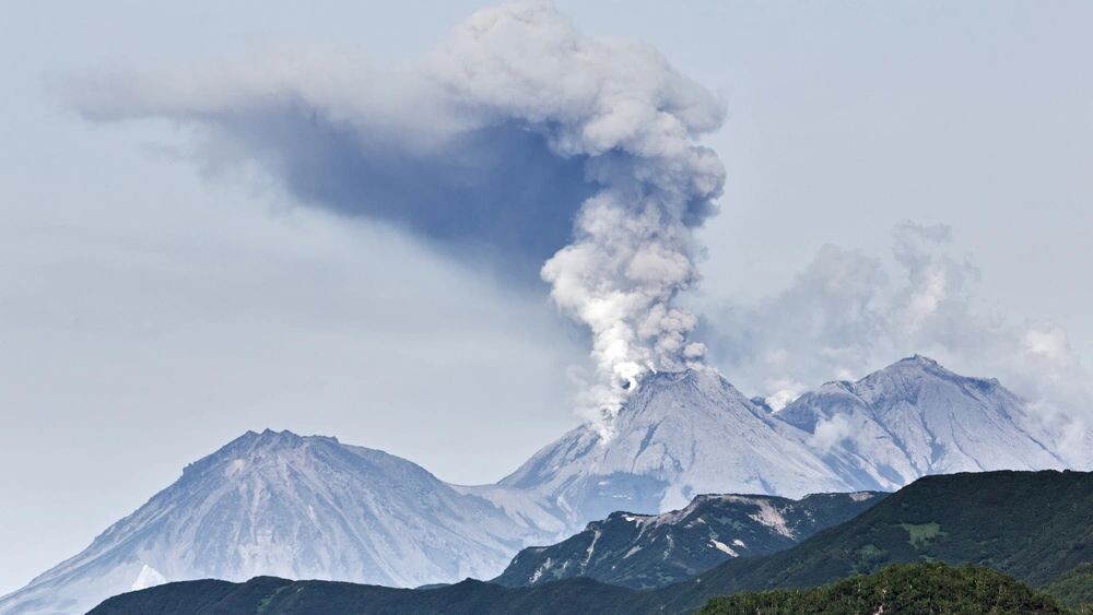    Фото: Alexander Piragis/Shutterstock/Fotodom