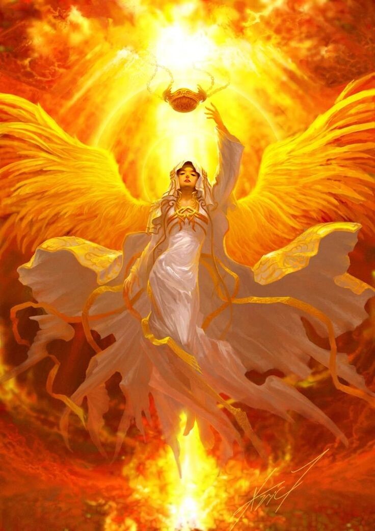 Из открытых источников Яндекса.