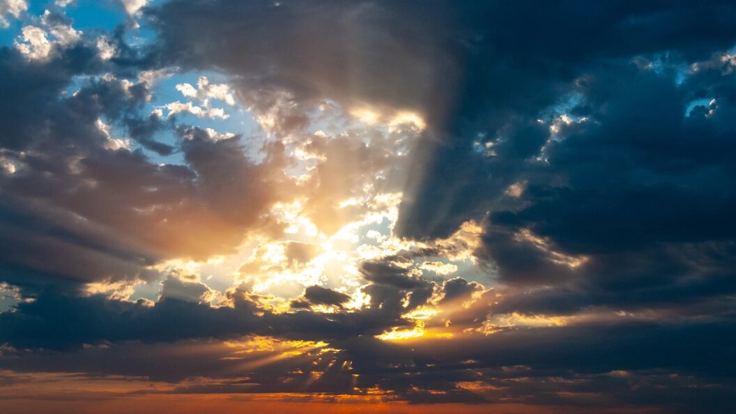    фото: Svetlana Vozmilova/Global Look Press