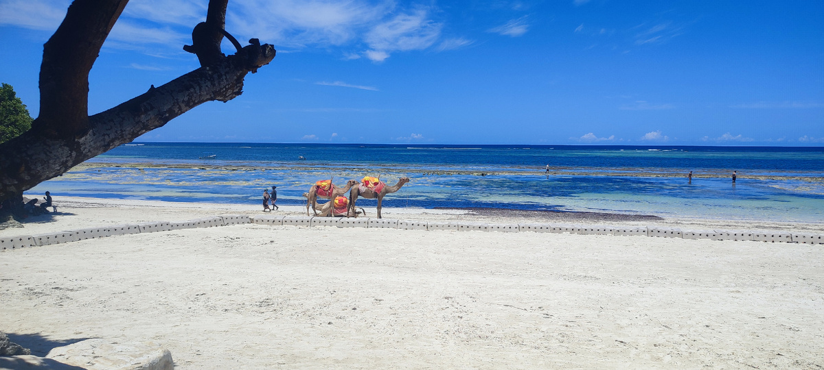 Чарующий пляж, который ждал меня по прилёту
