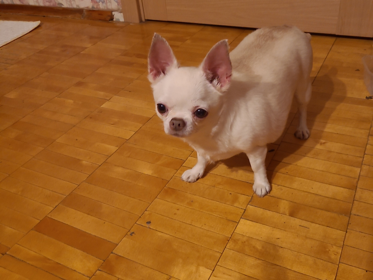 Фото автора