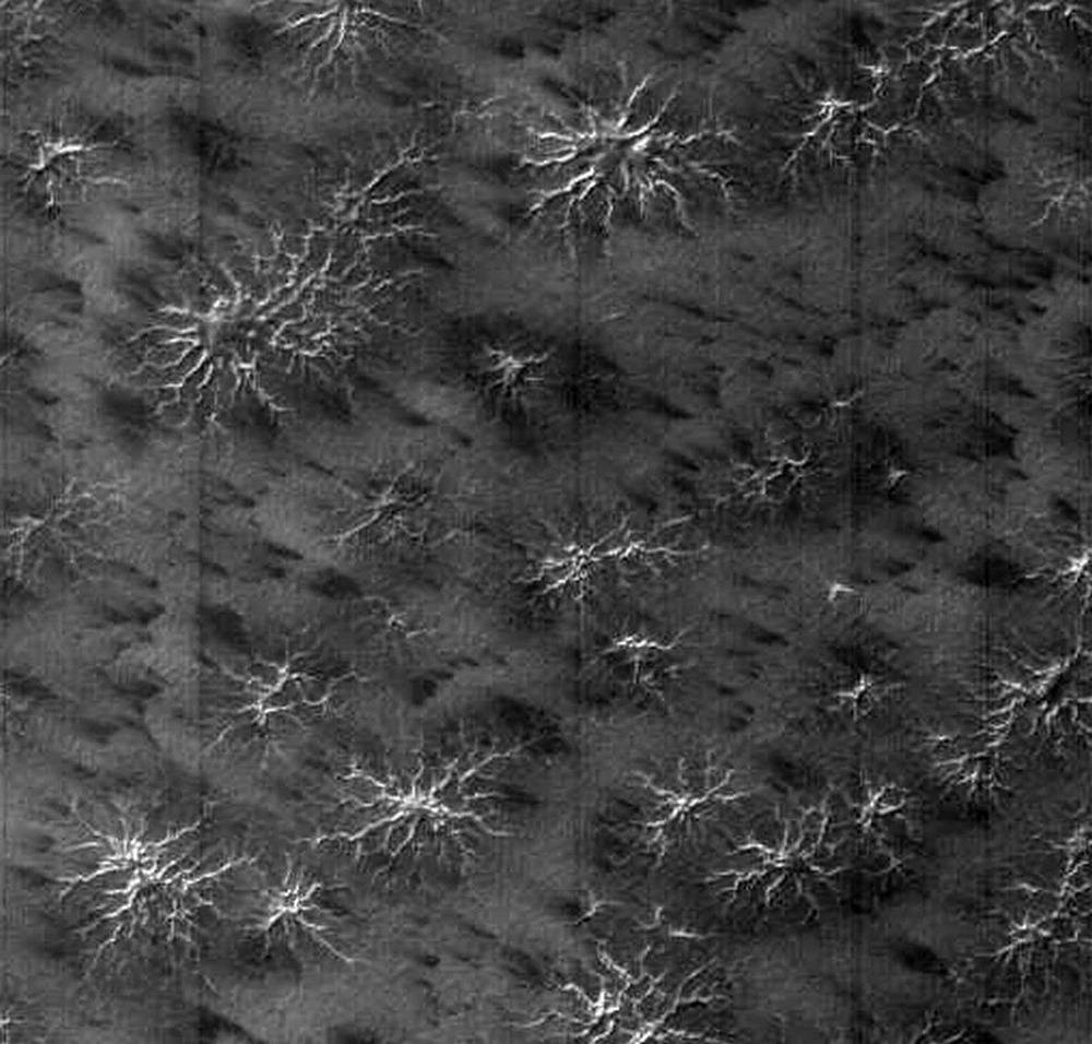 Изображение, полученное орбитальным аппаратом MGS / © NASA