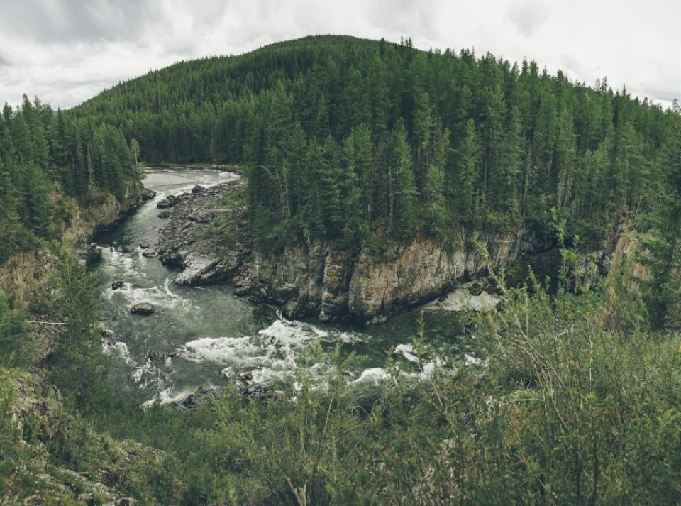    Река Башкаус. Источник: visit-altairepublic.ru