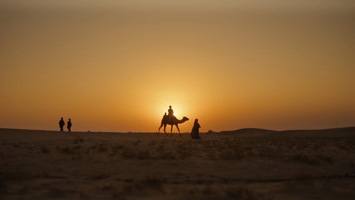 Кадр: Кинопоиск 