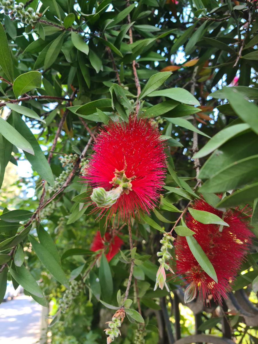 Любовь к себе. Что может прятаться за ней?

Есть такой общепризнанный вариант счастливой и главное правильной жизни - любовь к себе.

И как только у вас что-то в жизни не заладилось, вам начинают со всех сторон советовать любить себя. И все наладится!.

 Ну не любят в принципе тех, кто не любит себя. А они, те кто не любят - они себя любят? Большие сомнения. Потому что любовь к себе имеет свойство прорастать в близких вам по духу, часто и по плоти людях.

Я все это к тому, что любить-то себя конечно нужно. Но без часто даже неосознанного сожаления, что "все так" и вот она, обида на мир - "если я никому не нужен, буду сам себя любить, и пошли бы вы все, обойдусь, никто мне не нужен..." и т.д.
Любовь к себе нужно уметь трансформировать. Не замыкаться в ней. Не кичиться ею. Не путать ее с банальным эгоизмом. А уж куда и как - это очень индивидуально. 
Наталья Казакова