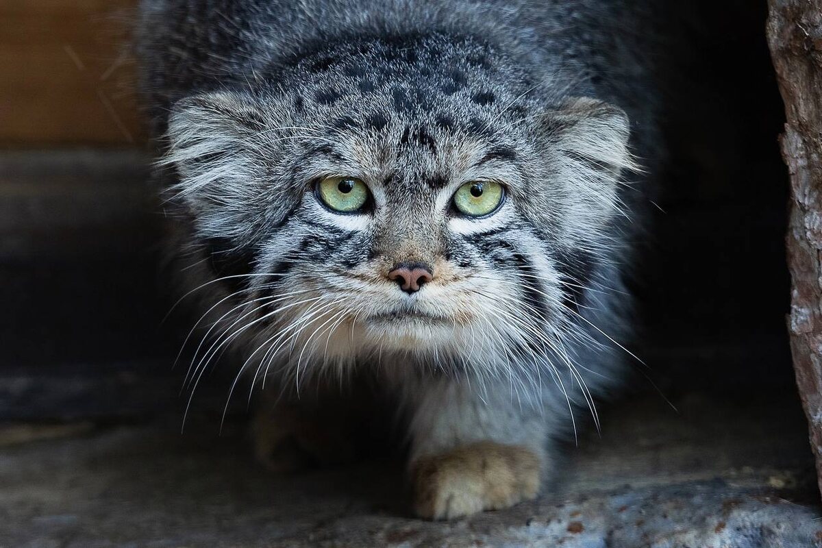    Фото: Парк «Роев ручей» Красноярск