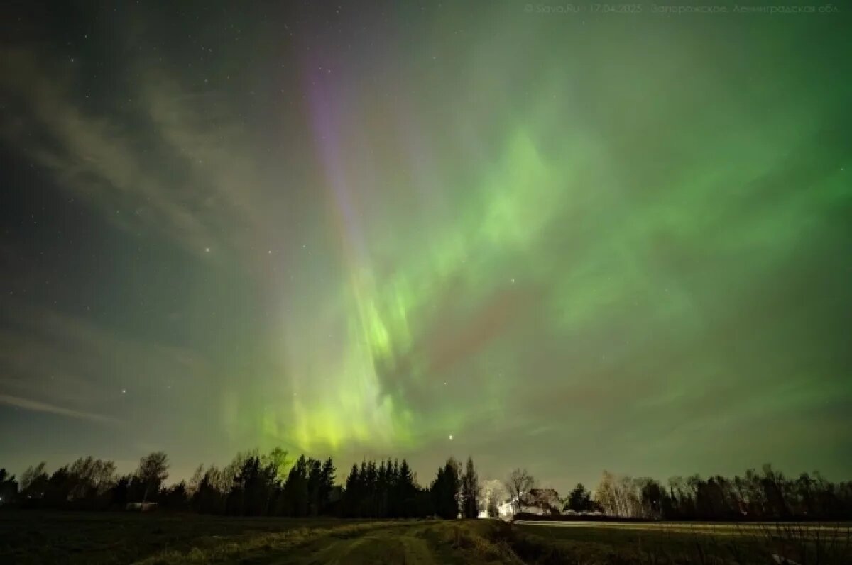    Плазма Солнца достигнет Земли 8 августа в 7.00 и вызовет северные сияния