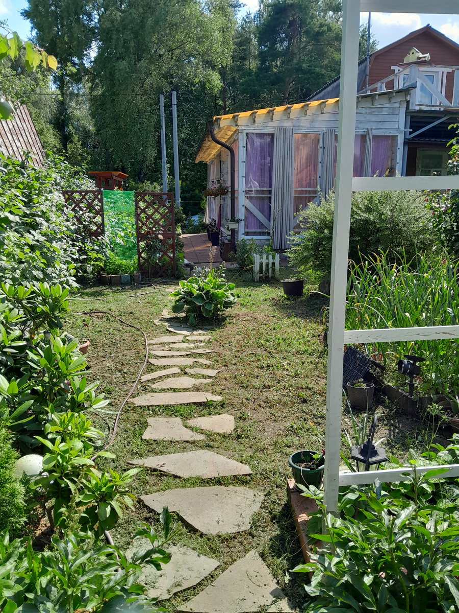 Последние числа июля 2025г. Вид на входную зону.