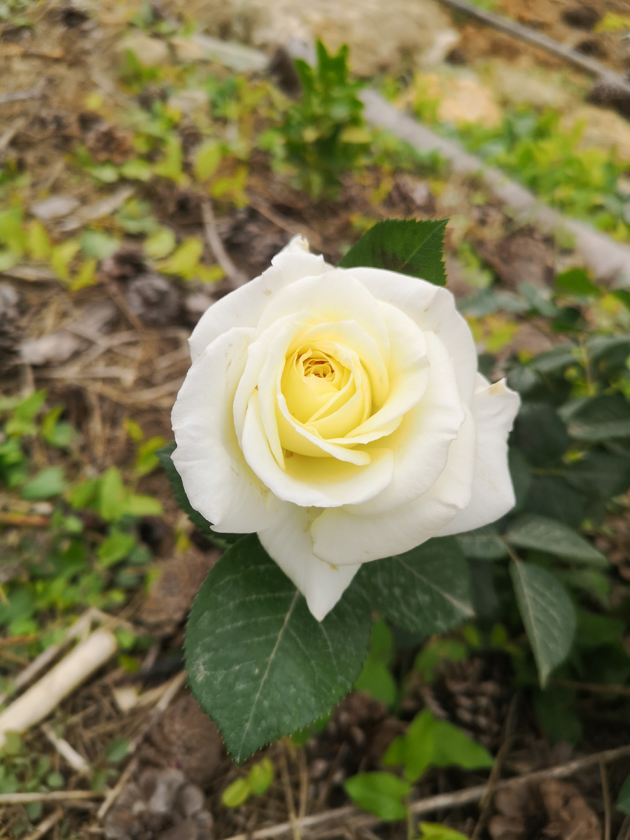 Это вместо картинки