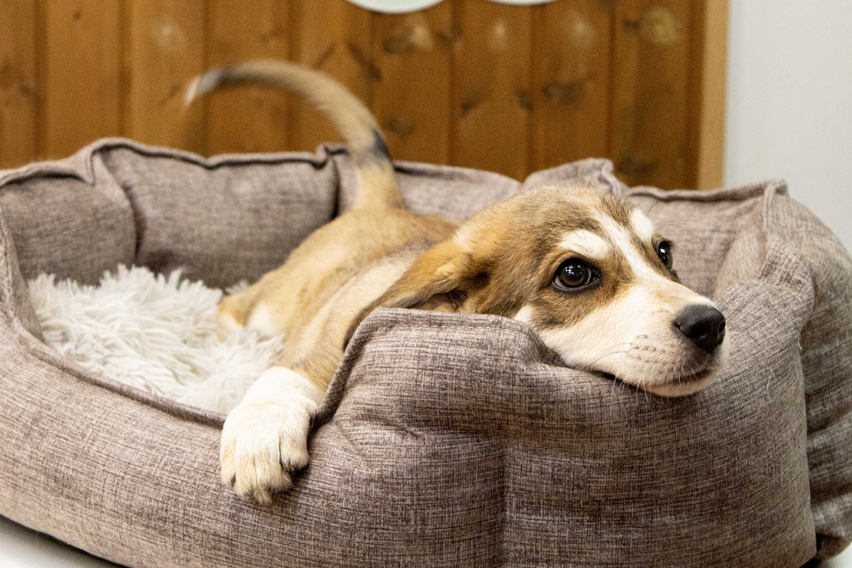 Анита не успела узнать предательство и верит людям всем сердцем!