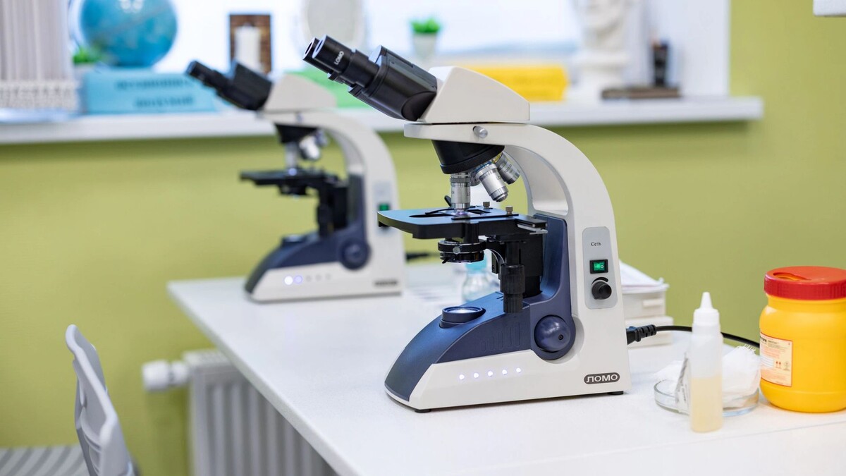    Фото: Сергей Зубков / «Ямал-Медиа»