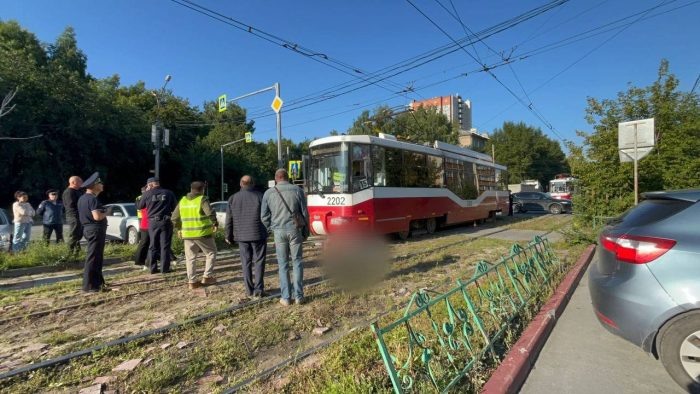 Фото Госавтоинспекция Новосибирской области