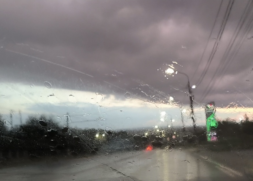 Все фотографии в статье авторские