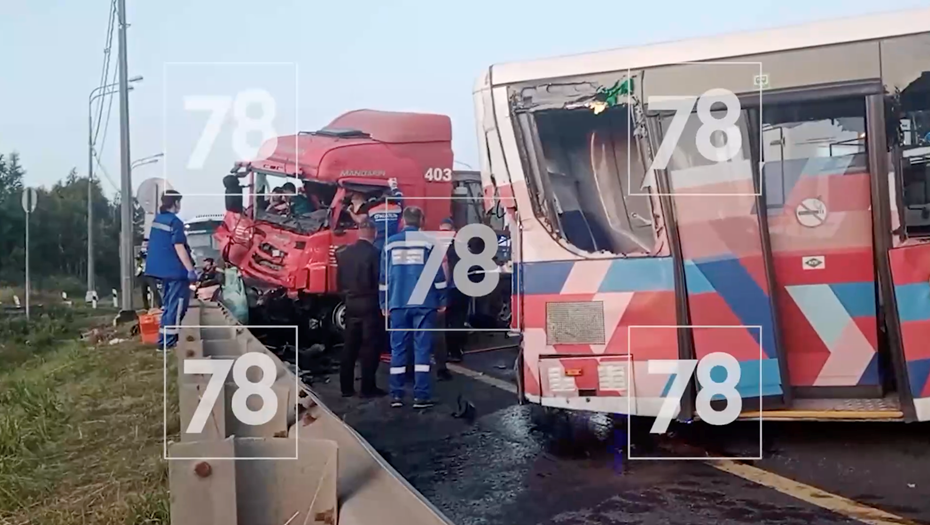    Автор фото: 78.ru