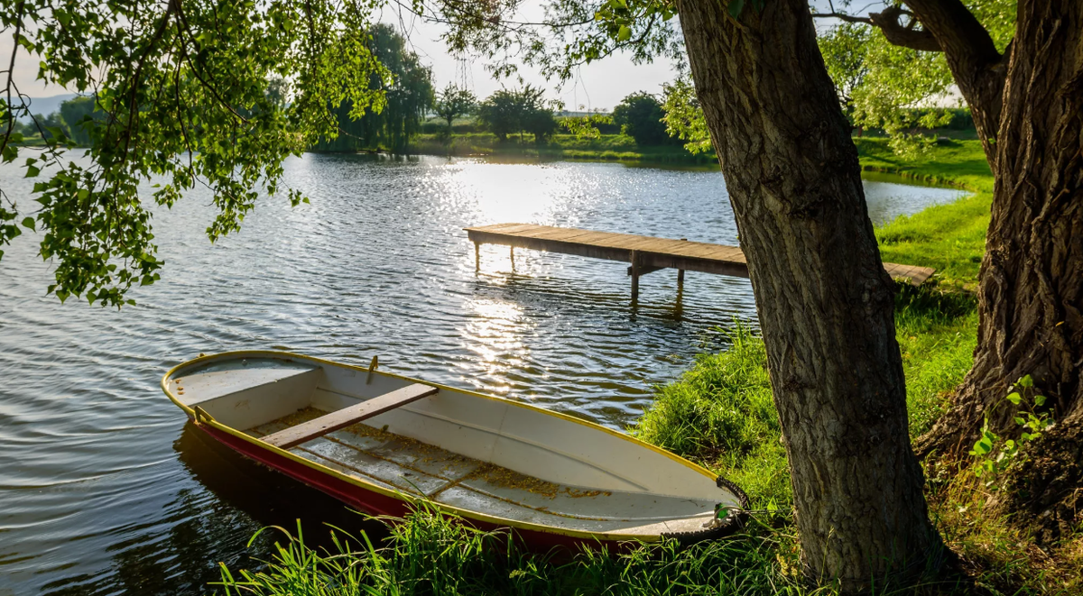 Яндекс картинки