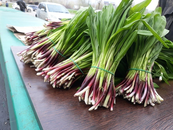 фото взято на яндекс картинки